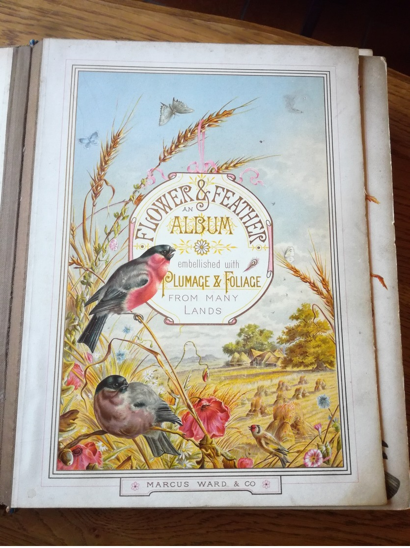 Annie L ODDY Album Marcus Ward And Co  Flower And Feather  Girls Friendly  BRADFORD 1882 - Albums & Collections