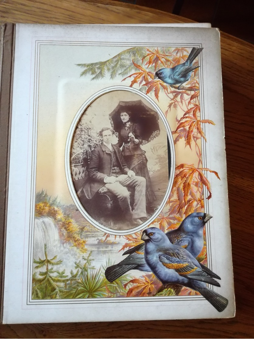 Annie L ODDY Album Marcus Ward And Co  Flower And Feather  Girls Friendly  BRADFORD 1882 - Albums & Collections