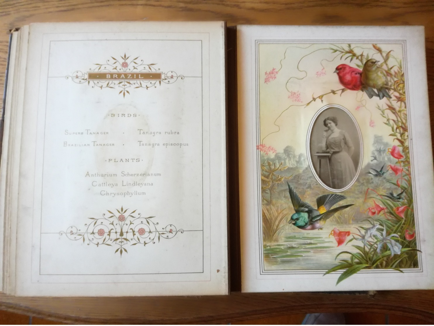 Annie L ODDY Album Marcus Ward and Co  Flower and Feather  Girls Friendly  BRADFORD 1882