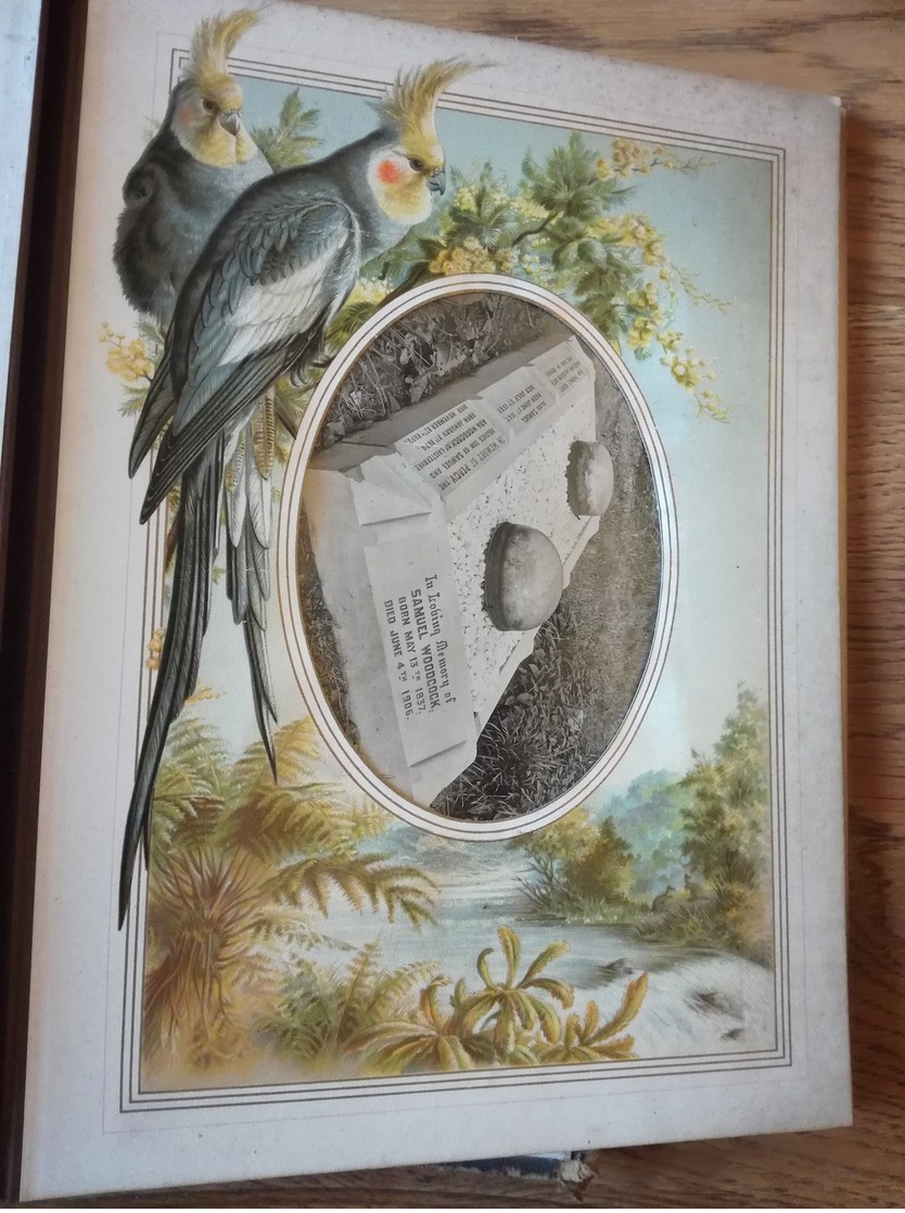 Annie L ODDY Album Marcus Ward and Co  Flower and Feather  Girls Friendly  BRADFORD 1882