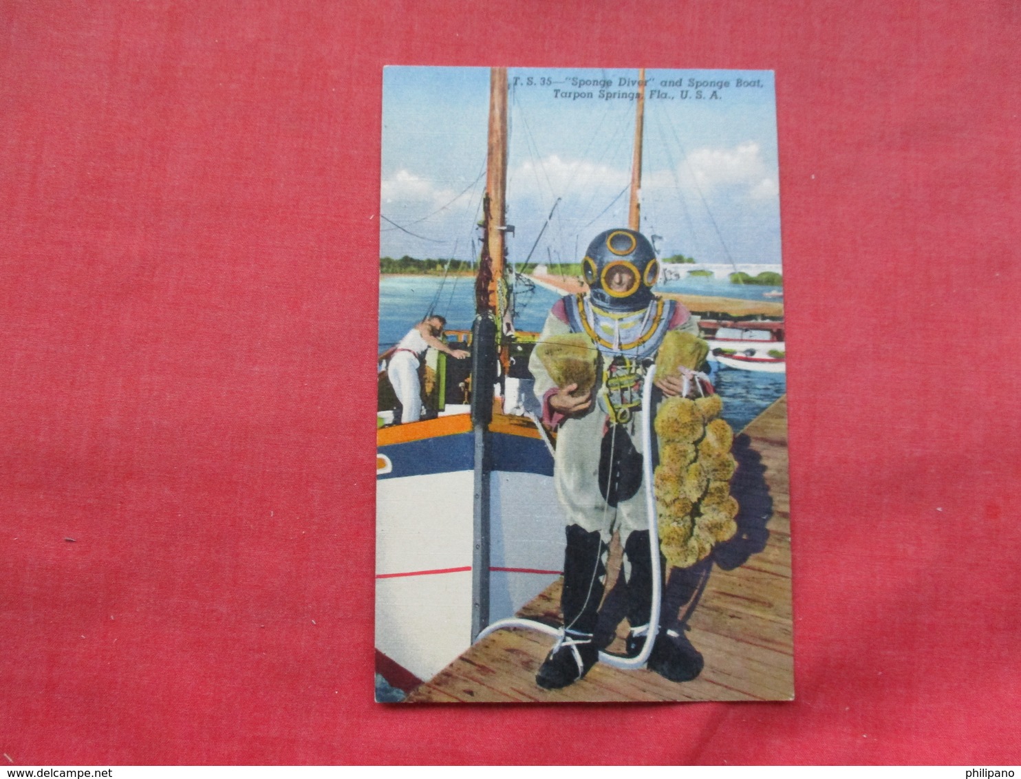 Sponge Diver Tarpon Springs Fl.  Ref 3292 - Autres & Non Classés