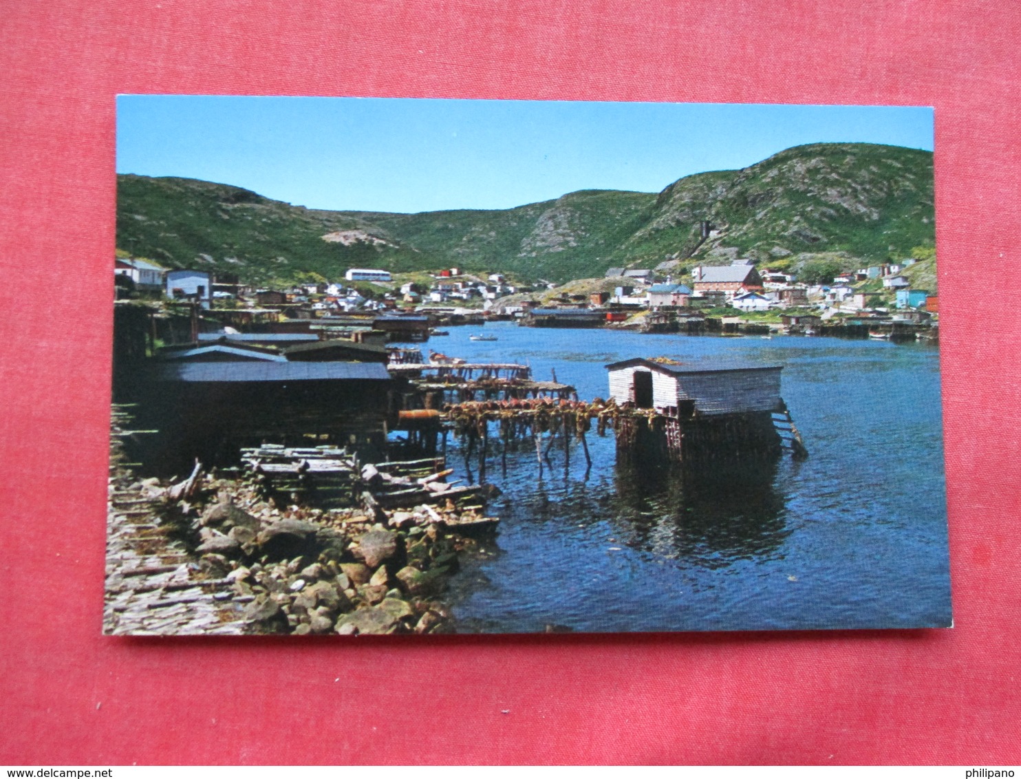 Newfoundland  Petty Harbor    Ref 3292 - Other & Unclassified