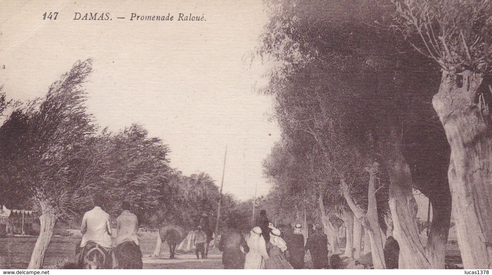 DAMAS / PROMENADE RALOUE - Syrie