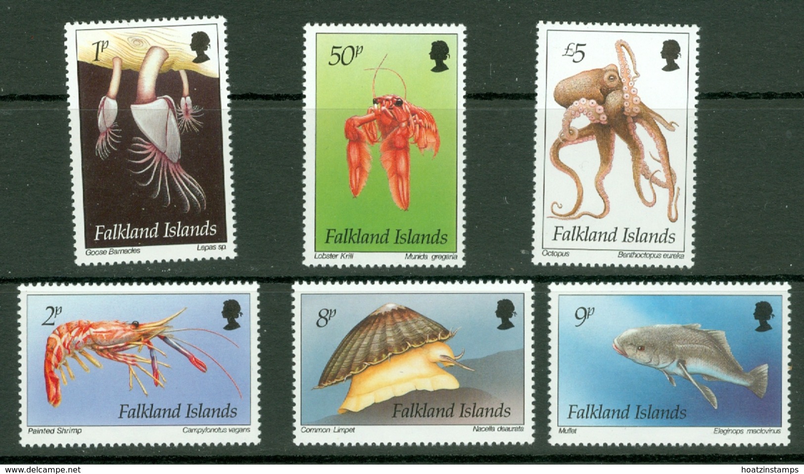 Falkland Is: 1994   Inshore Marine Life Set   SG701-712    MNH - Falkland Islands