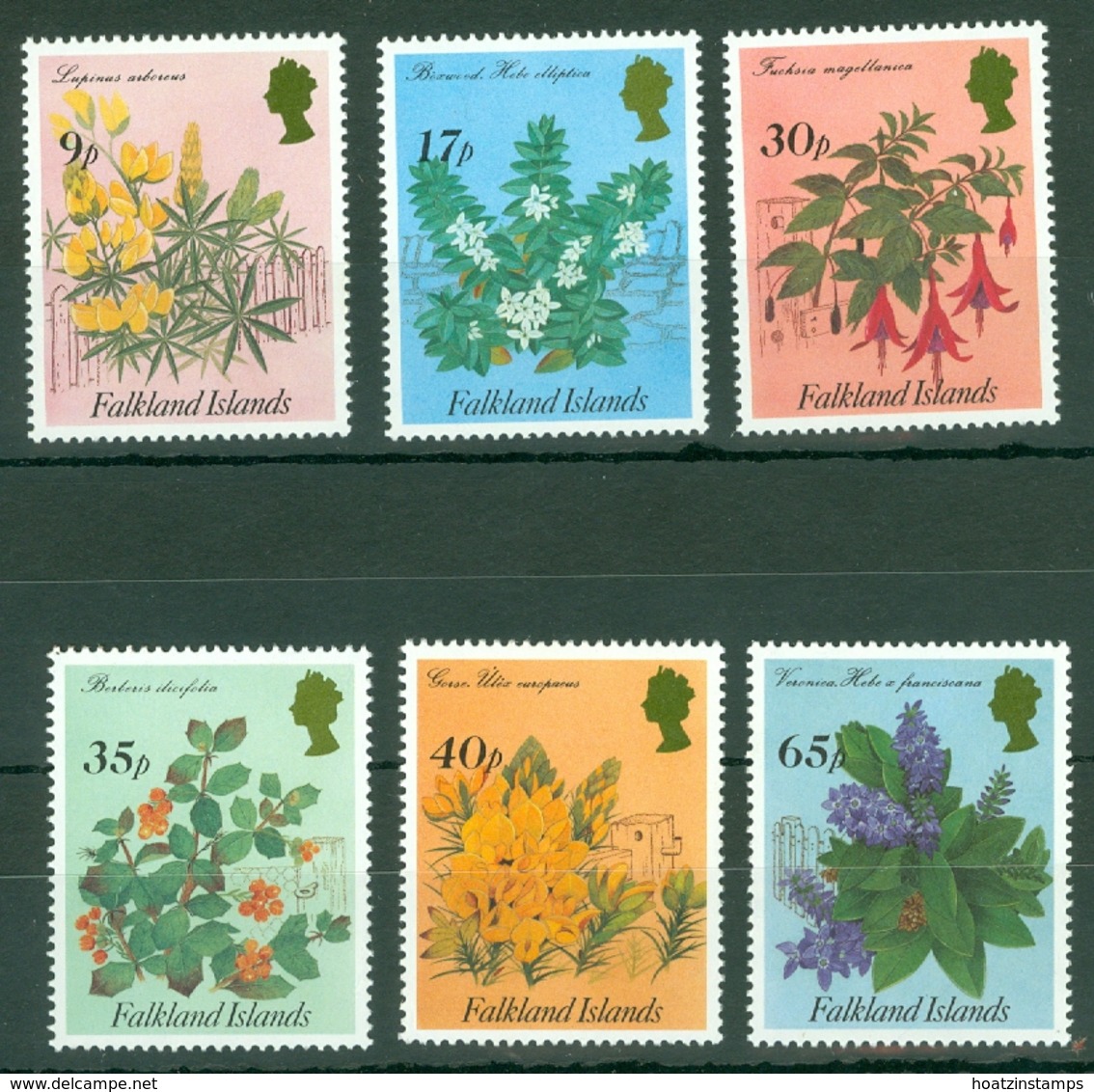 Falkland Is: 1995   Flowering Shrubs    MNH - Falkland Islands