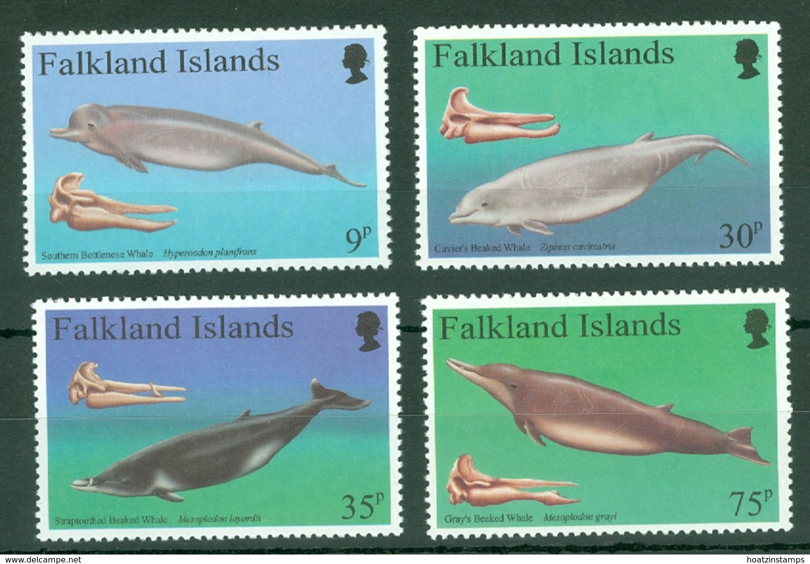 Falkland Is: 1996   Beaked Whales   MNH - Falkland