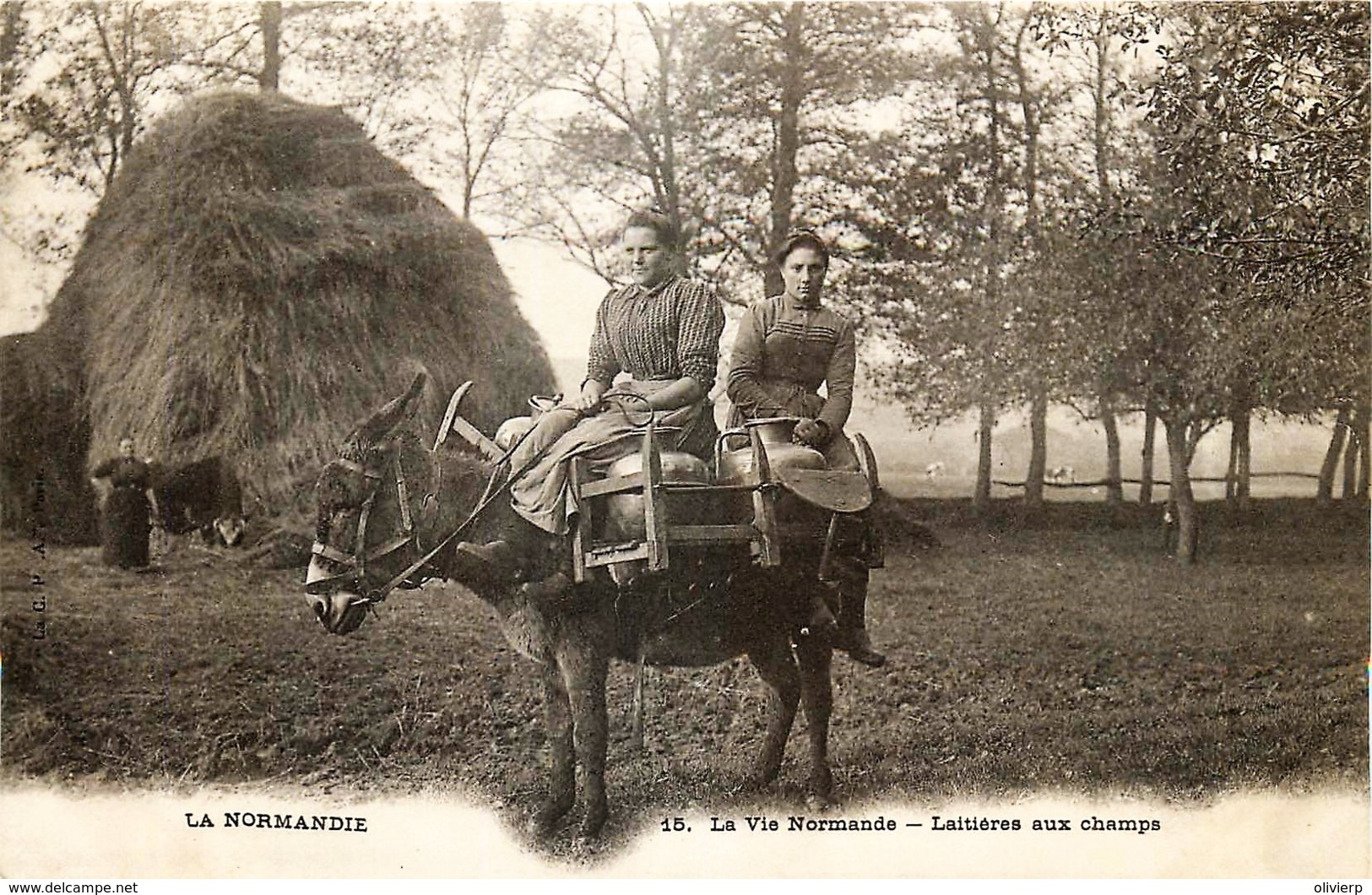 France - 76 - La Normandie - La Vie Normande - Laitières Aux Champs - Autres & Non Classés