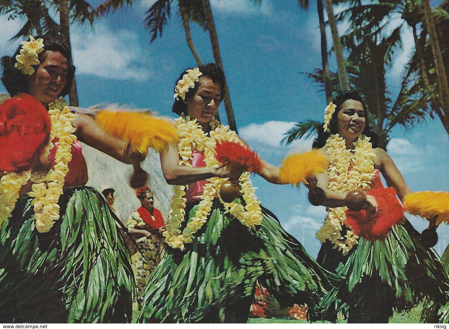 Hawaian Hula Dancers. Honolulu.  Japan Airlines Card.  A-673 - Altri & Non Classificati