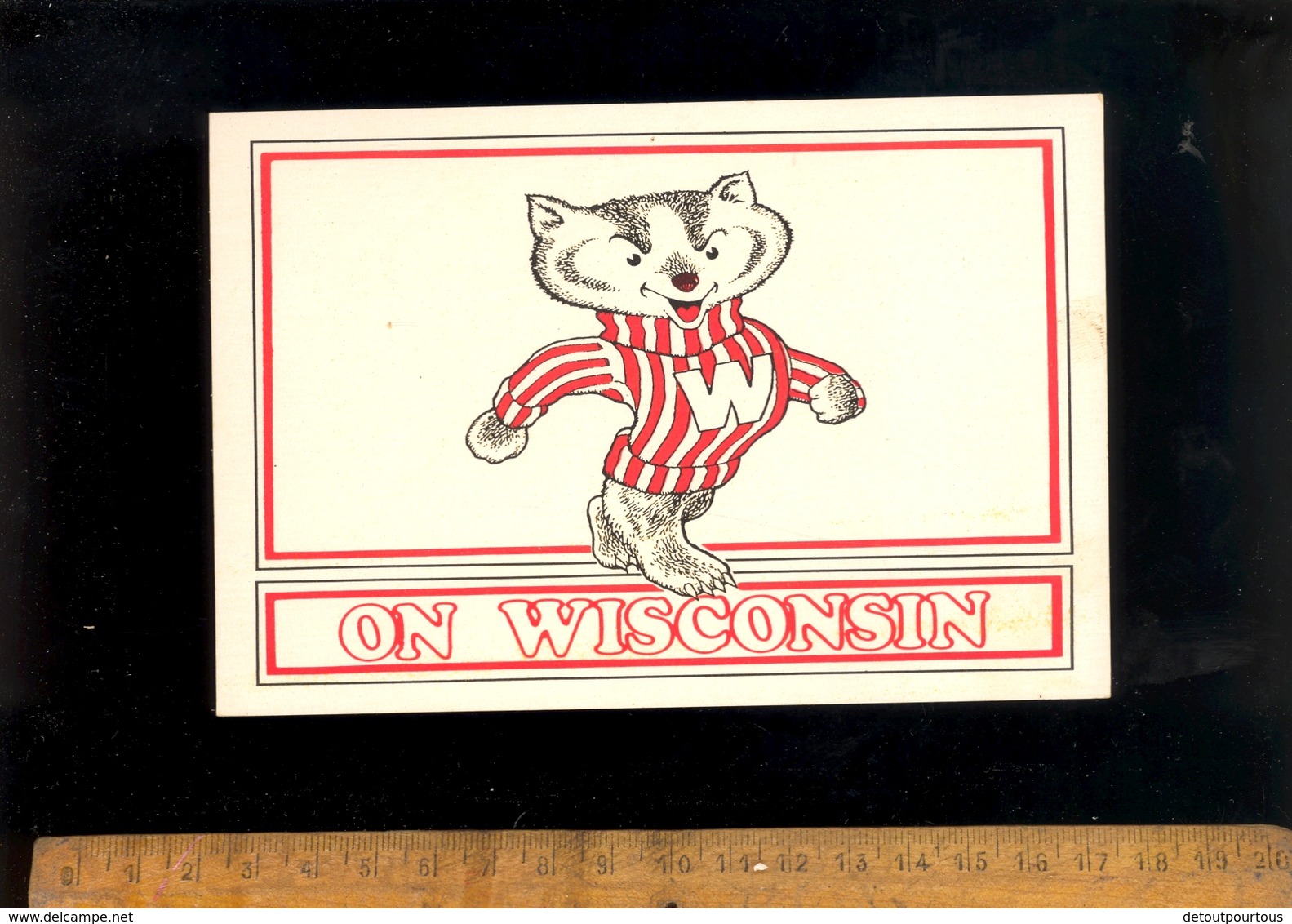 MADISON WISCONSIN Bucky Badger Sports Mascot Of The University - Madison