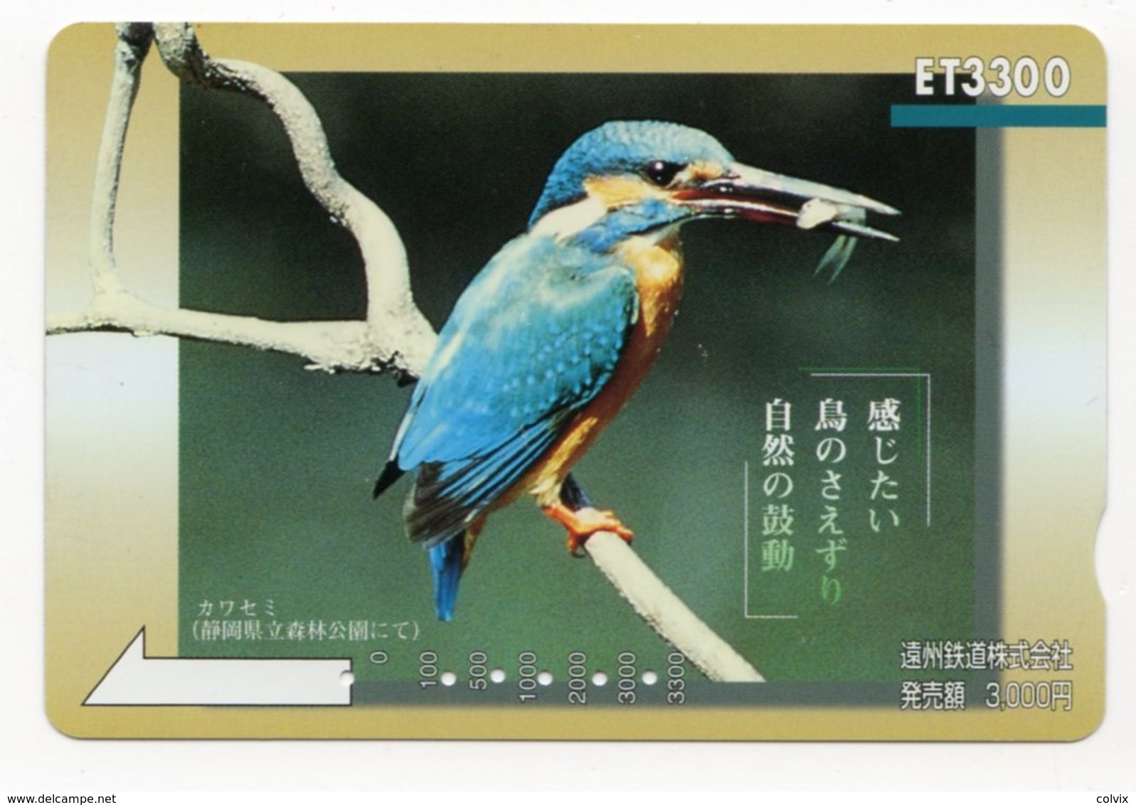 JAPON CARTE PREPAYE OISEAU - Songbirds & Tree Dwellers