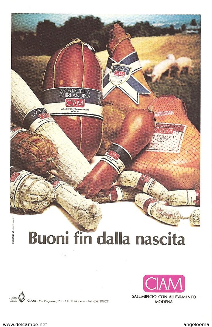 ITALIA - 1985 CIBUS Salone Alimentazione Italiana Ann. Ord. S.LAZZARO PARMENSE (PR) Su Cartolina Pubbl. CIAM - Settore Alberghiero & Ristorazione