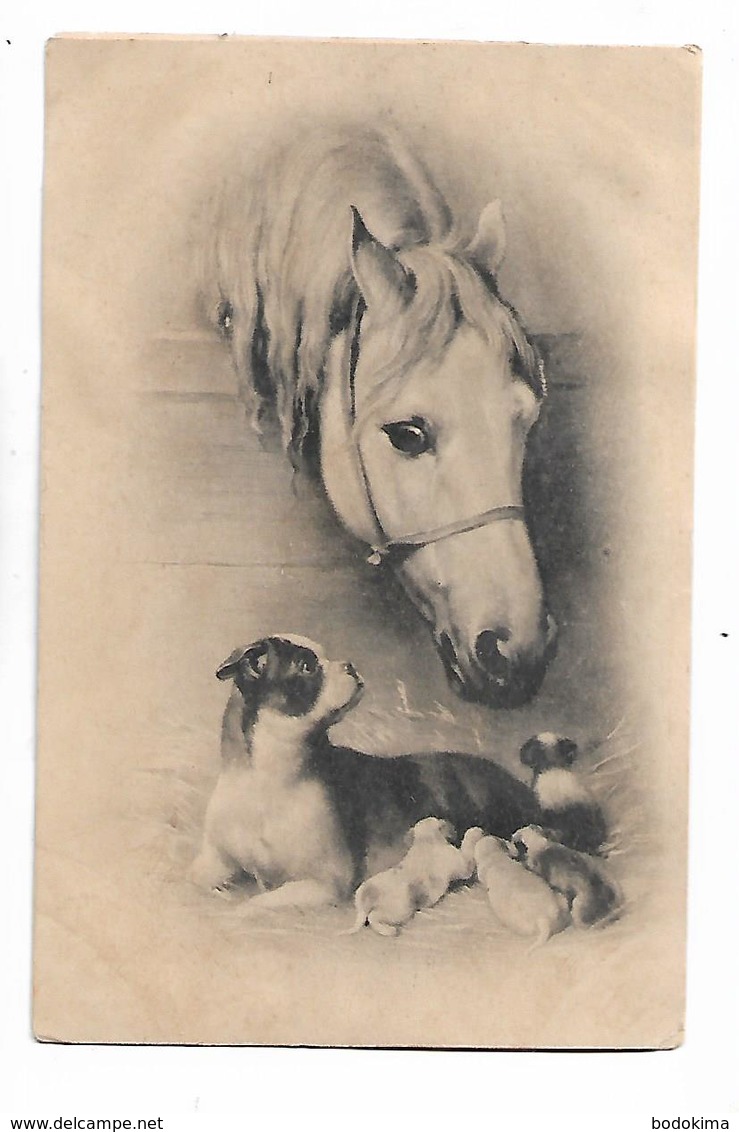 Illustrateur  -  C  Reichert  -     Tete  De  Cheval   Et  Chien  Et  Ses  Chiots - Chevaux