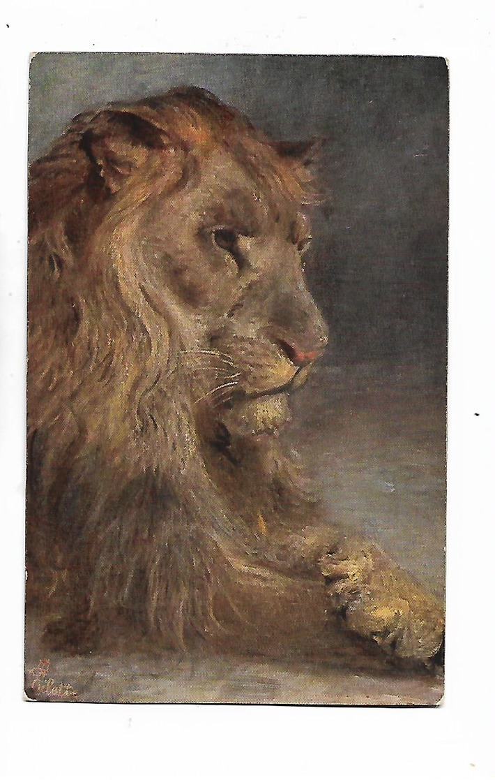 Illustrateur  -  Paul   Meyerheim     -  Raphael  Tuck - Lions