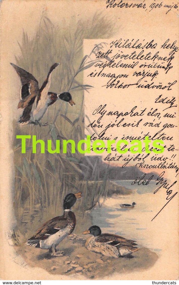 CPA  ILLUSTRATEUR ARTIST SIGNED SCHMITZBERG CANARD DUCK THEO STROEFER KOLOZSVAR ( PLI - CREASE ) - Vogels