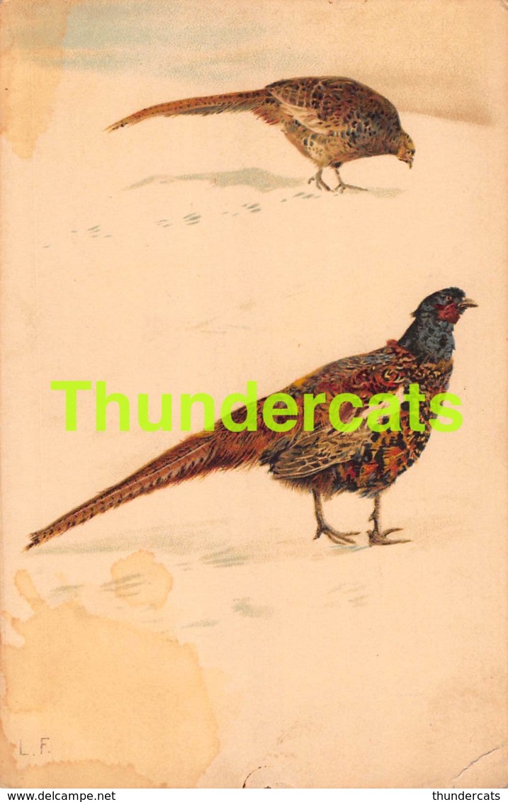 CPA  ILLUSTRATEUR ARTIST SIGNED LITHO CHASSE CHASSEUR HUNT MEISSNER FEASANT ( PLI - CREASE ) - Oiseaux
