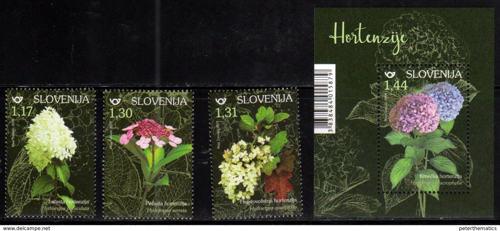 SLOVENIA , 2019, MNH, FLOWERS, HYDRANGEAS, 3v+S/SHEET - Other & Unclassified