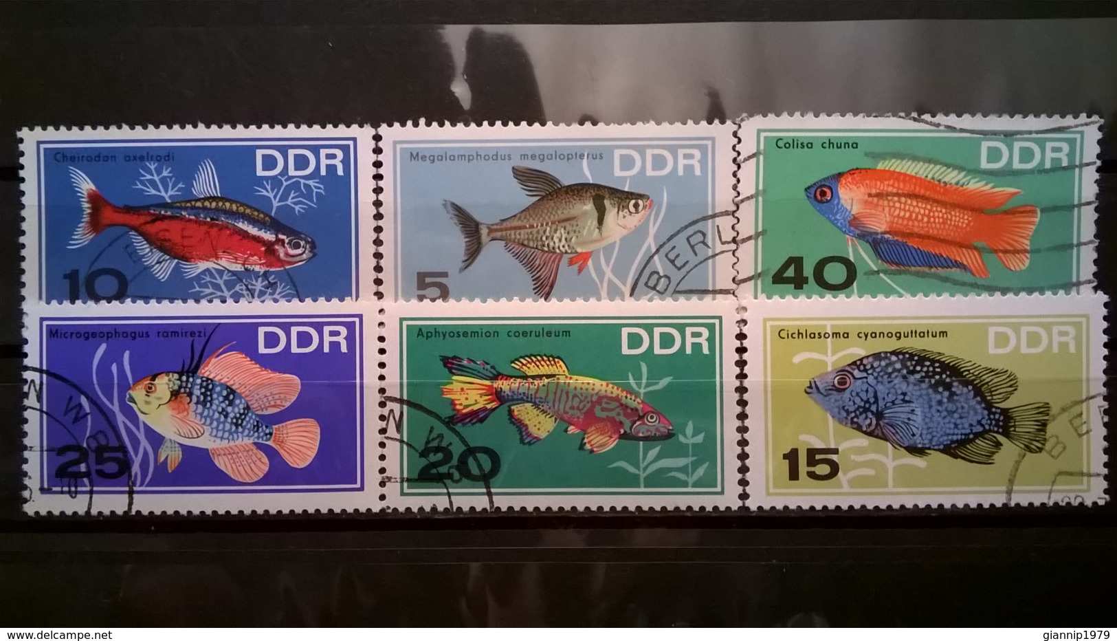 FRANCOBOLLI STAMPS GERMANIA DEUTSCHE DDR 1966 USED SERIE COMPLETA ACQUARIUM  FISH GERMANY - Usati