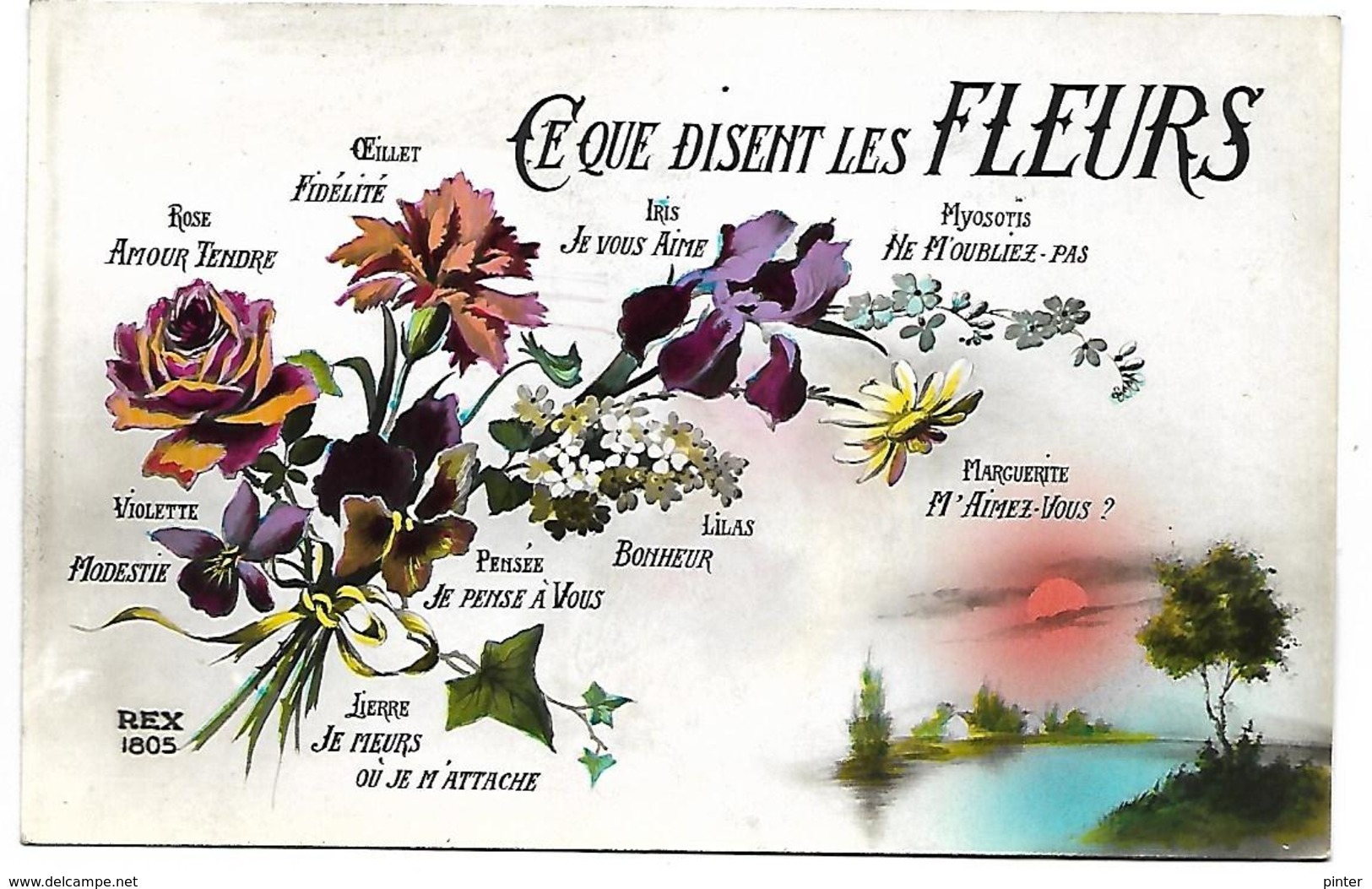 CE QUE DISENT LES FLEURS - Fiori