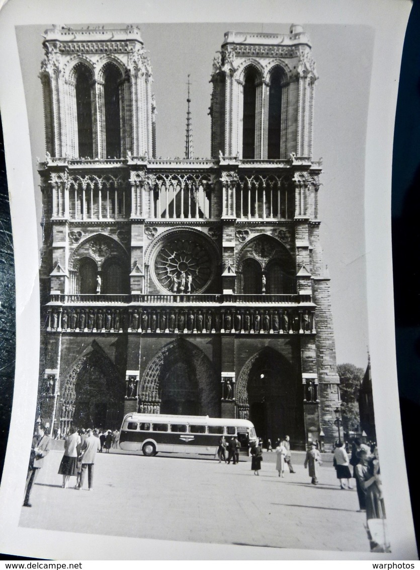 PHOTO ORIGINALE _ VINTAGE SNAPSHOT : NOTRE DAME De PARIS _ BUS _ CAR _ ANNEES 1950 - Lieux