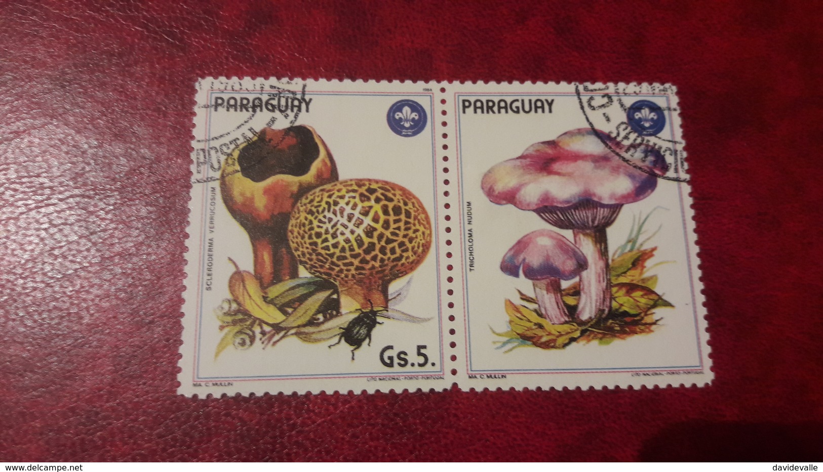 1985 Funghi - Paraguay