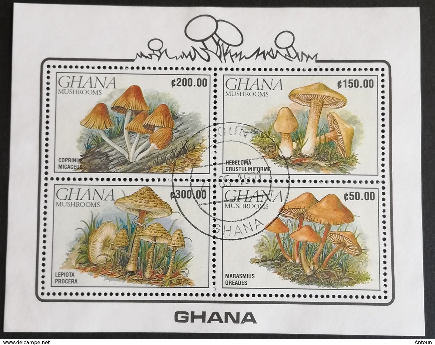 Ghana  1990 Mushrooms Min Sheet Of Four USED - Ghana (1957-...)