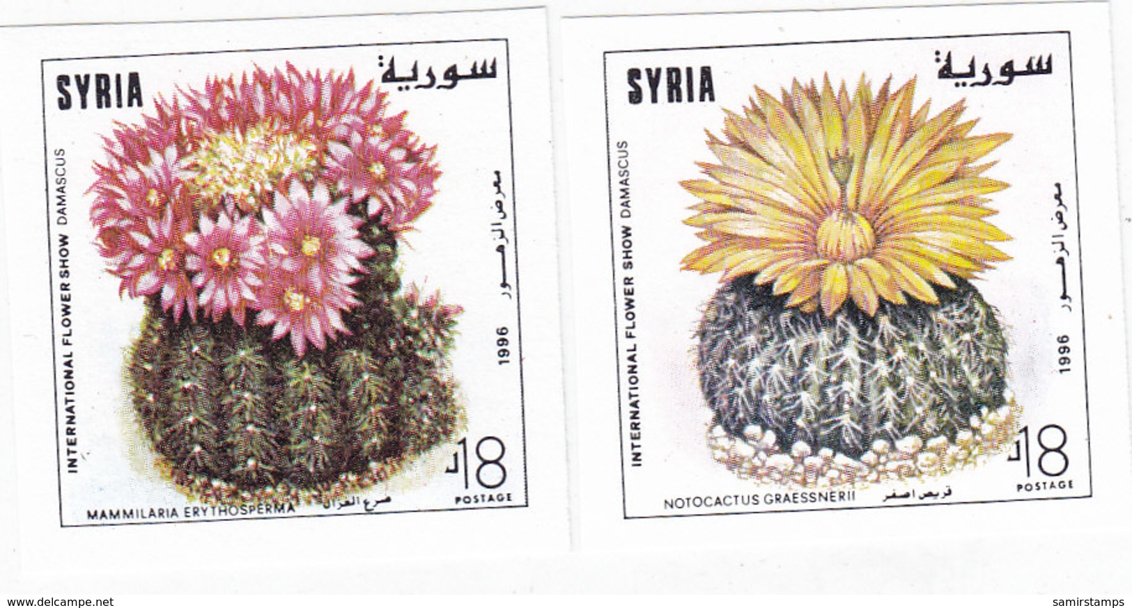 Syria 1996,Flowers CACTUS 2v.complete Set MNH IMPERFORATED,only 50 Exist - Scarce- Red. Price- SKRILL PAY ONLY - Syria