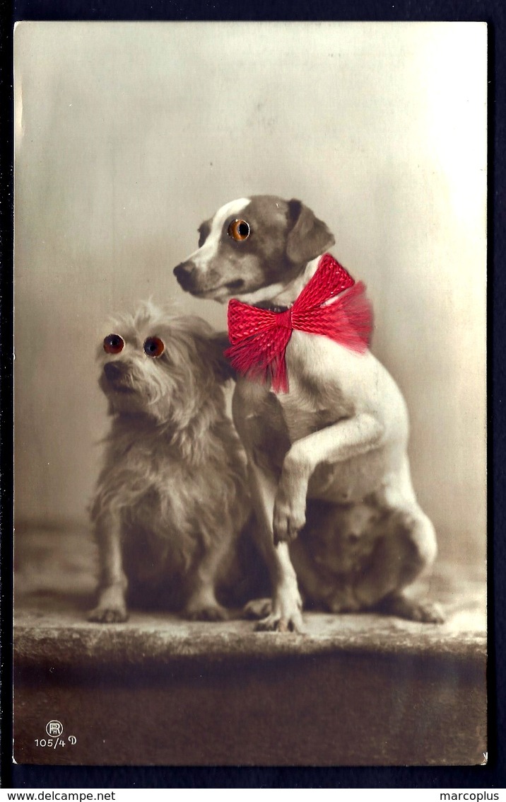 CP 5- 2 PETITS CHIENS  AVEC YEUX EN VERRE ET NŒUD DE SOIE ROUGE VRAIE-  CP-PHOTO DES ANNÉES 1920-30- GROS PLAN- - Chiens