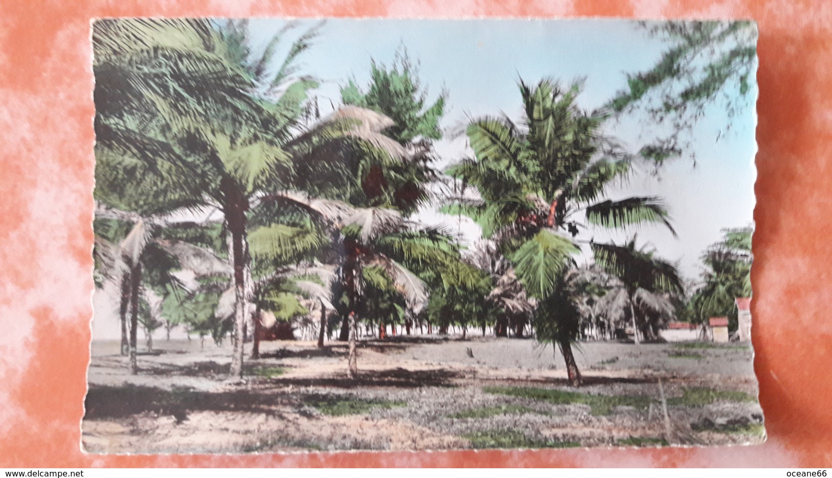 Côte D'Ivoire Abidjan Cocotiers De Bassam - Côte-d'Ivoire