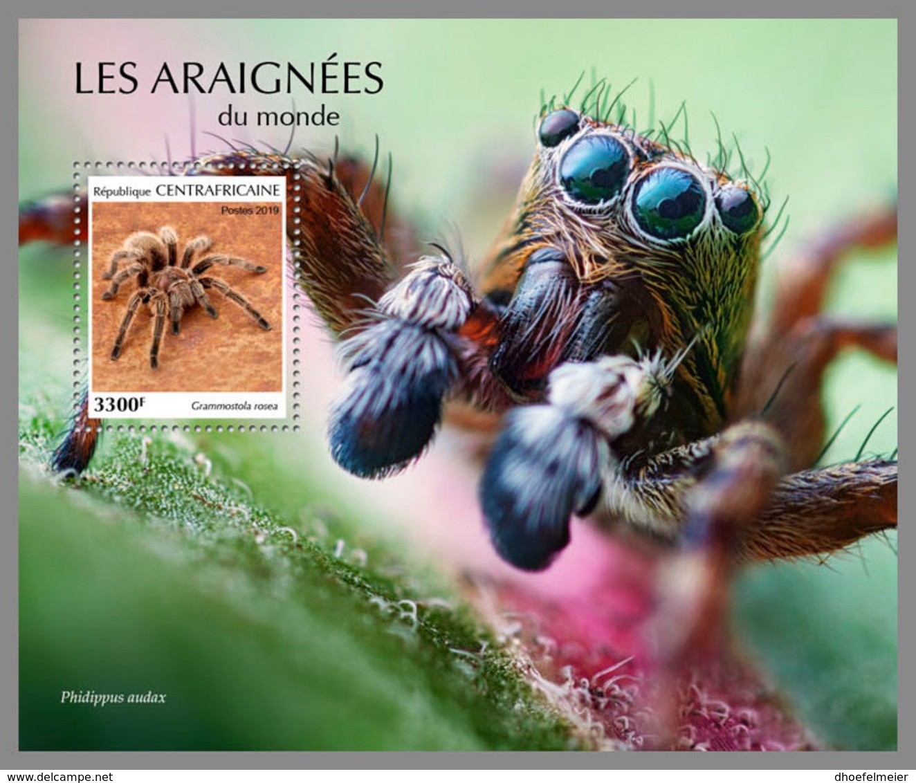 CENTRAL AFRICA 2019 MNH Spiders Spinnen Araignees S/S - OFFICIAL ISSUE - DH1915 - Ragni