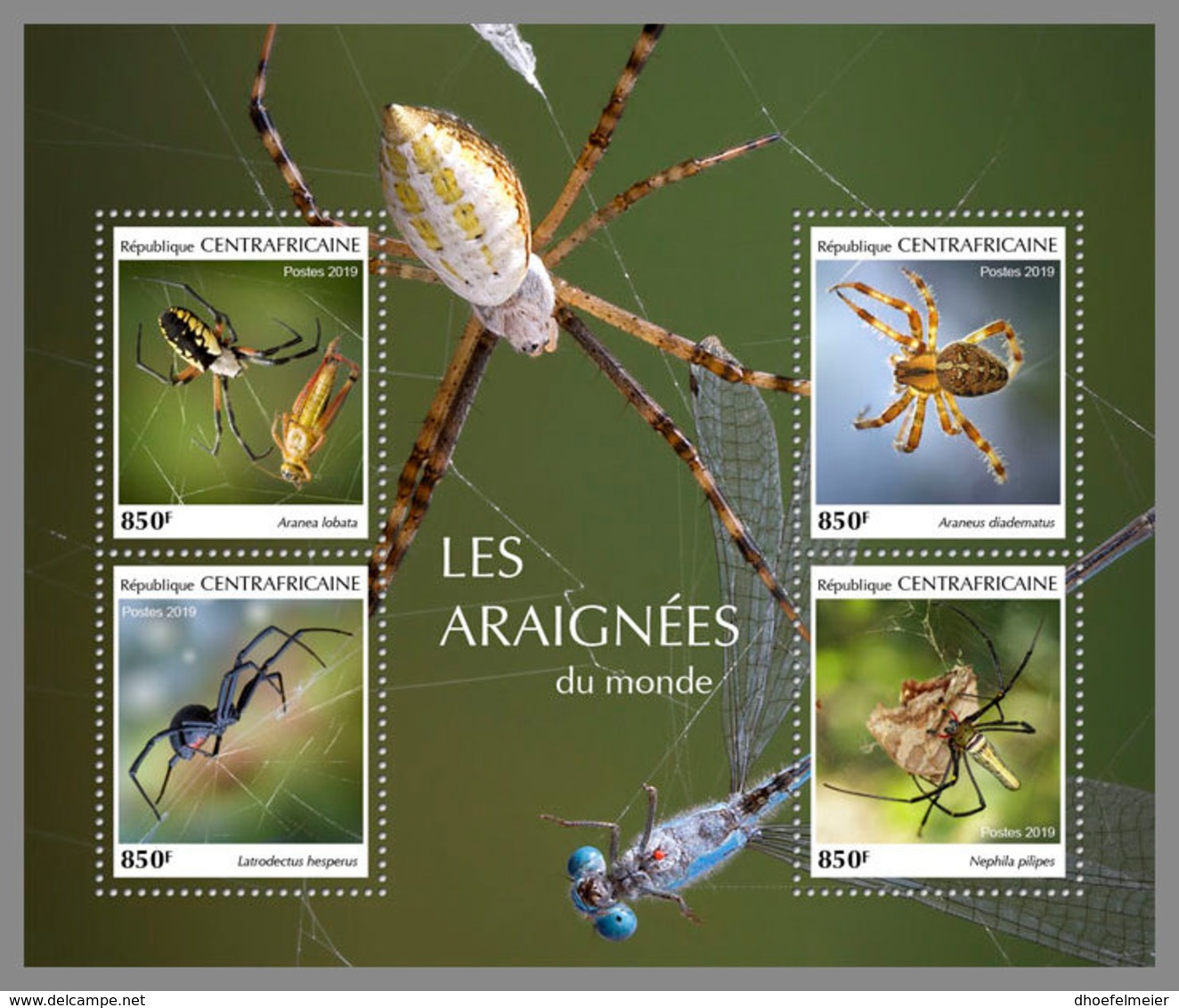 CENTRAL AFRICA 2019 MNH Spiders Spinnen Araignees M/S - IMPERFORATED - DH1915 - Spinnen