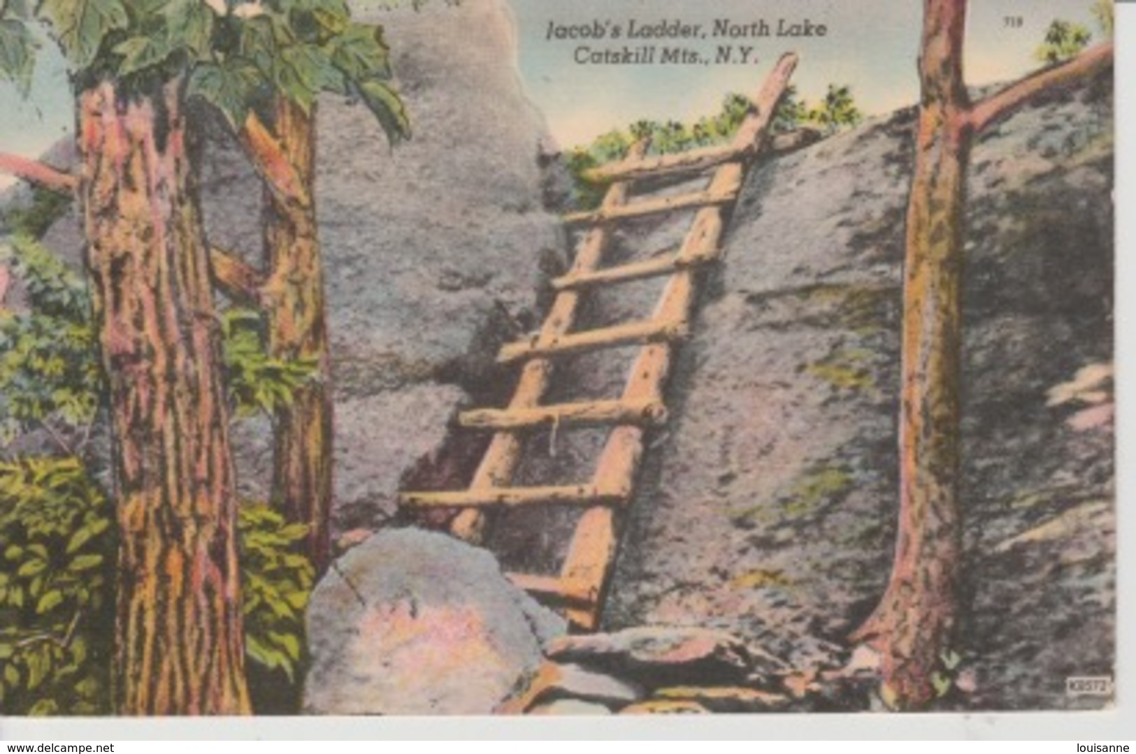 19 / 4 / 335. -  JACOB'S LADDER,  NORTH  LAKE  - CATSKILL  Mts. - N . Y. - Catskills