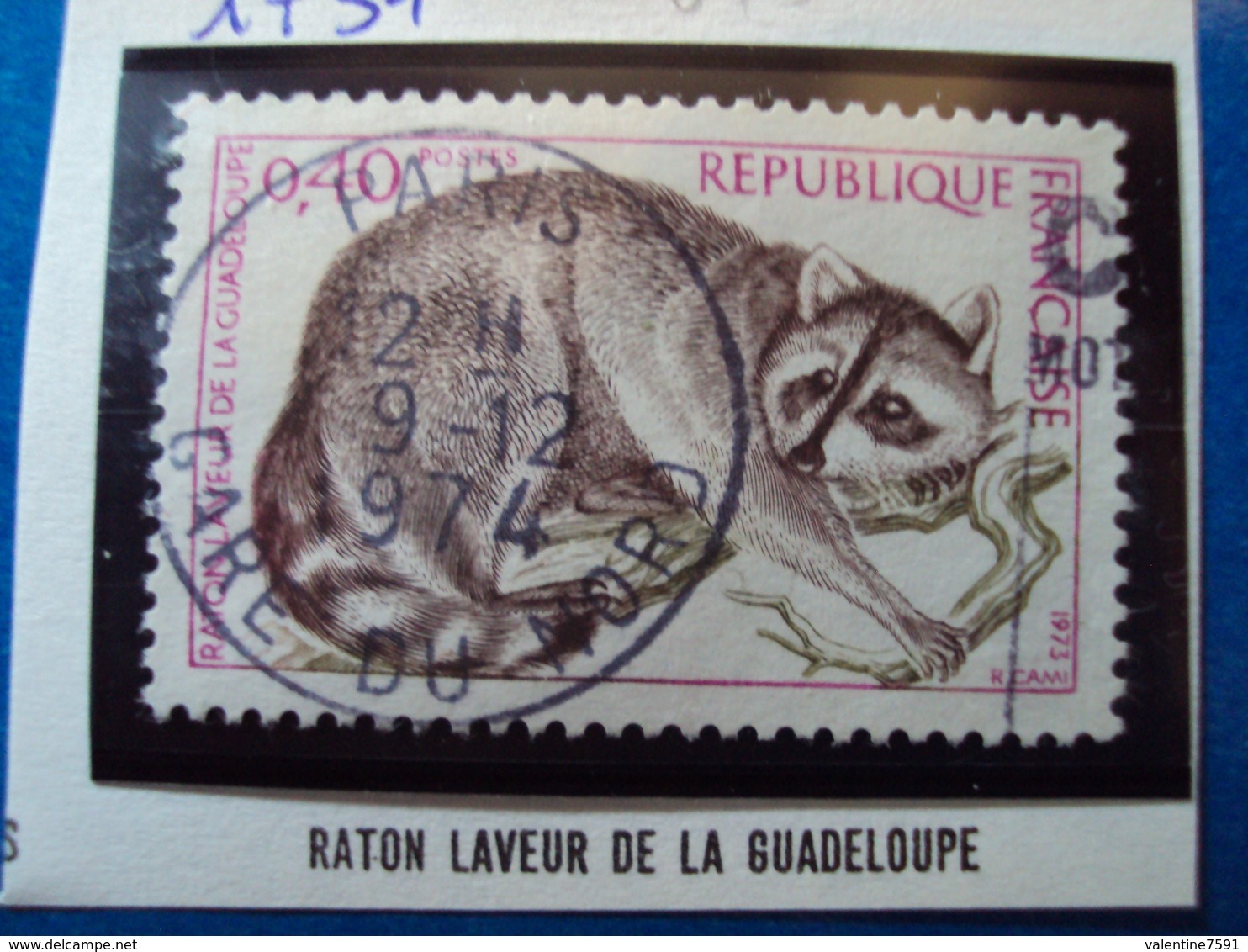 1970-79-timbre Oblitéré N° 1754    "  Raton Laveur De La Guadeloupe     "       0.30 - Oblitérés