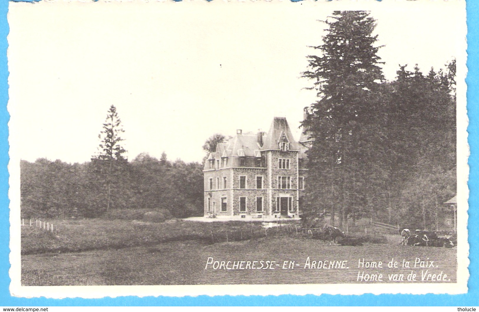 Porcheresse-en-Ardenne (Daverdisse)-Home De La Paix-van De Vrede (Colonies De Vacances)-Edit.Mosa, Profondeville - Daverdisse