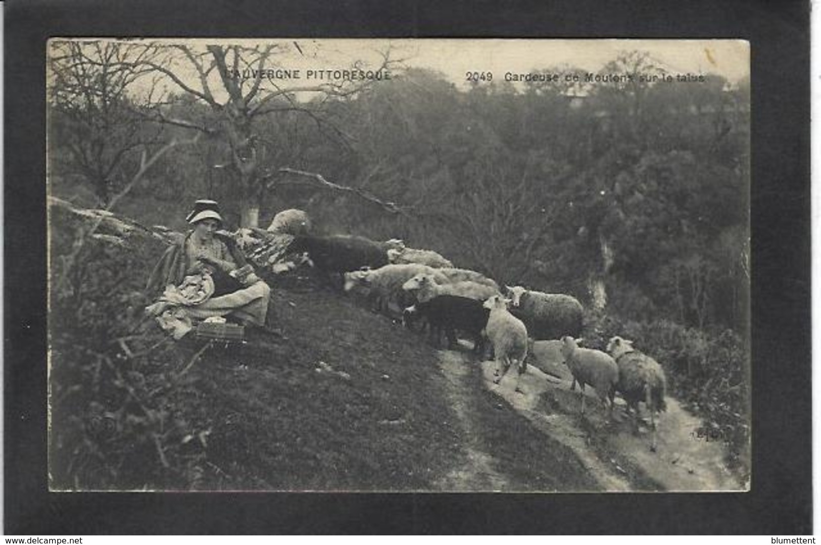 CPA Auvergne Région écrite Métier Moutons - Auvergne