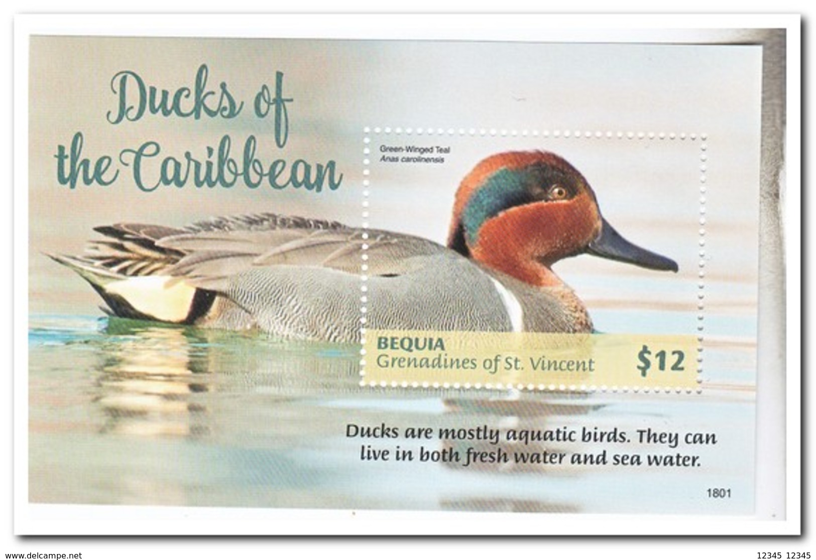 Bequia 2018, Postfris MNH, Birds, Ducks - St.-Vincent En De Grenadines