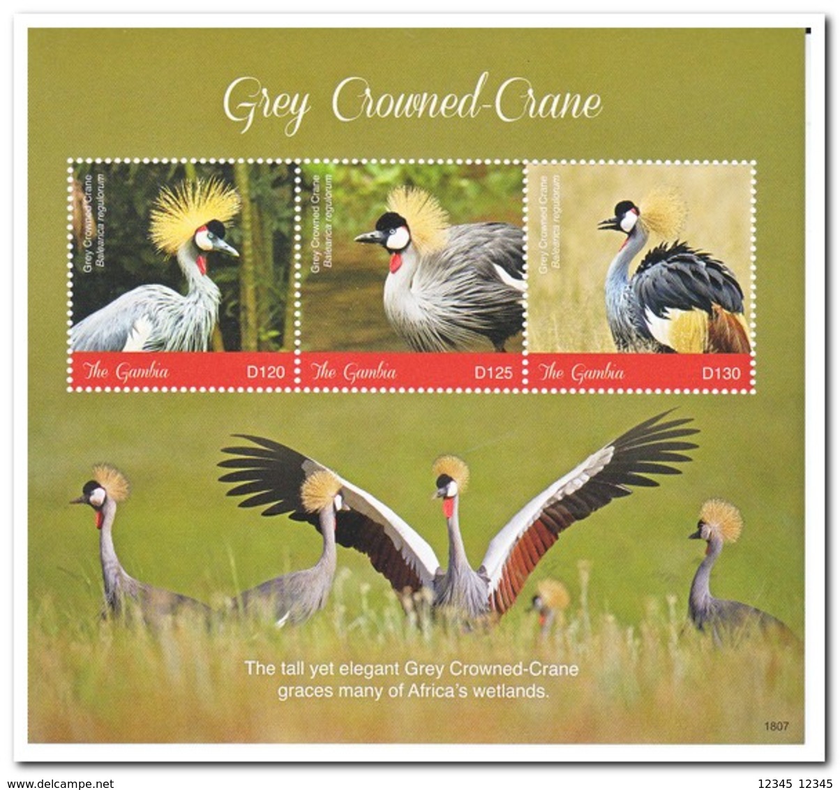 Gambia 2018, Postfris MNH, Birds - Gambia (1965-...)