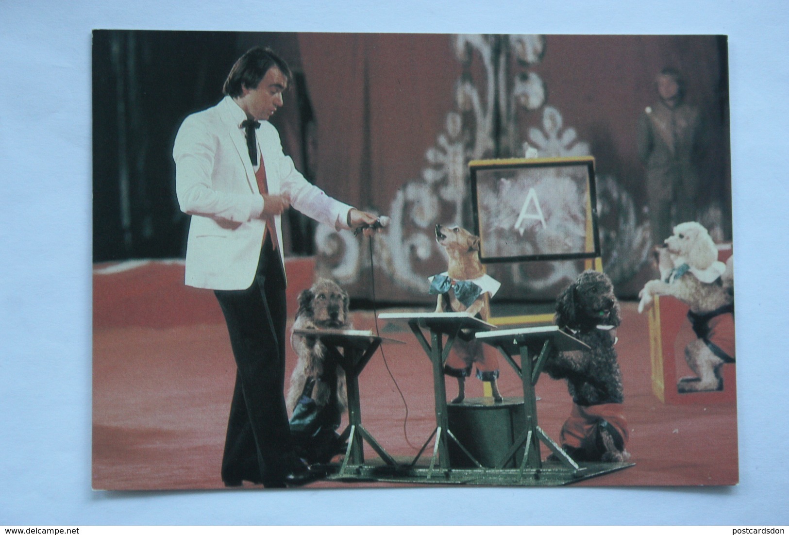 Soviet Circus. Trained Dog / Chien (animal Trainer ERMAKOV). 1986 -  Wire-haired Dachshund - Teckel - Dackel - Bassotto - Circus