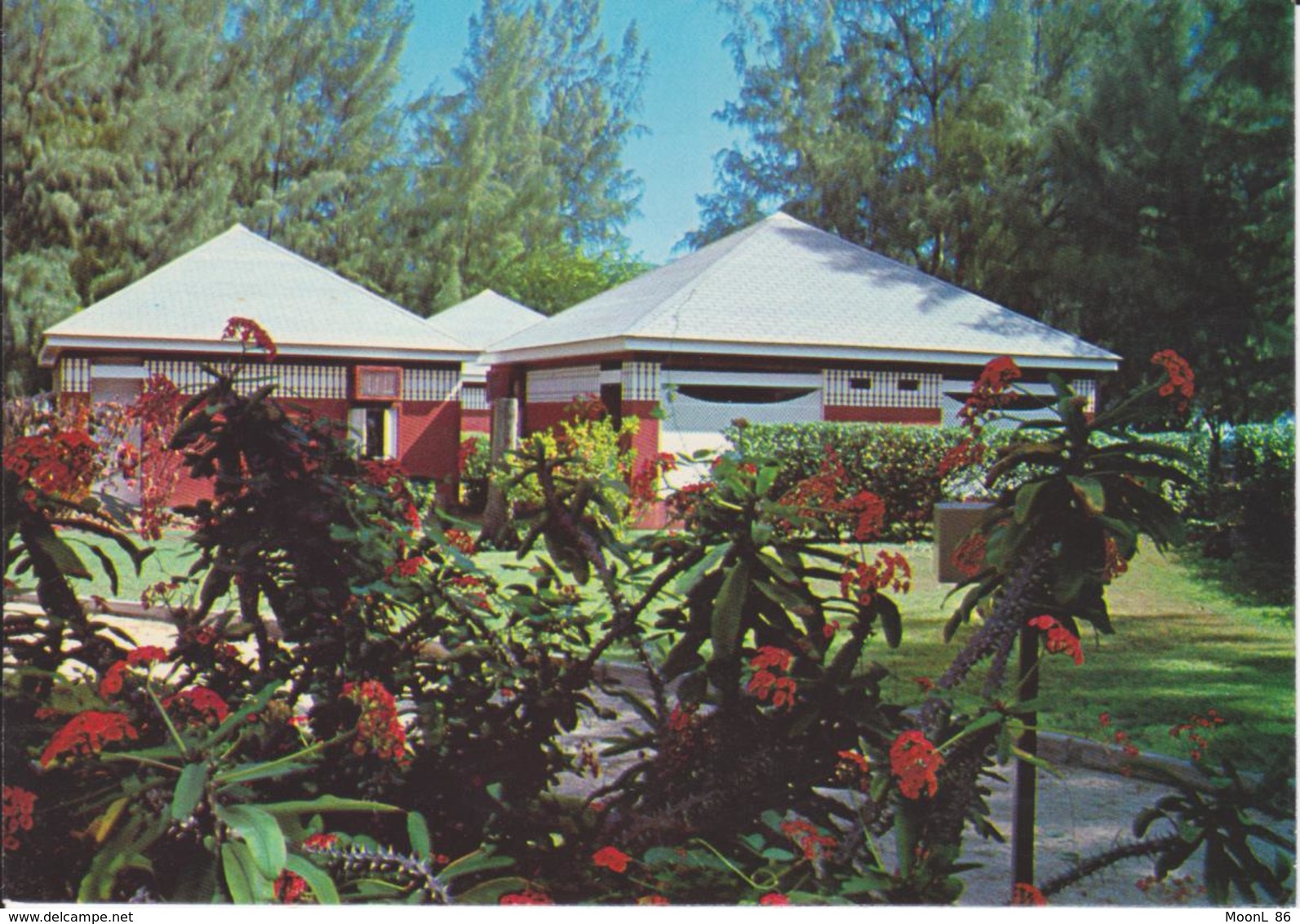 974 - ILE DE LA REUNION - SAINT GILLES LES BAINS - VVF VILLAGE VACANCES FAMILLES  - UN GROUPE DE BUNGALOWS - Saint Paul