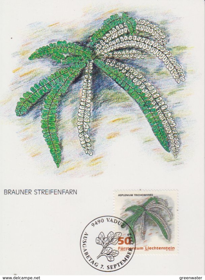 Liechtenstein 1992 Ferns / Farne  50Rp  Brauner Streifenfarn 1v Maxicard (42434A) - Maximumkaarten