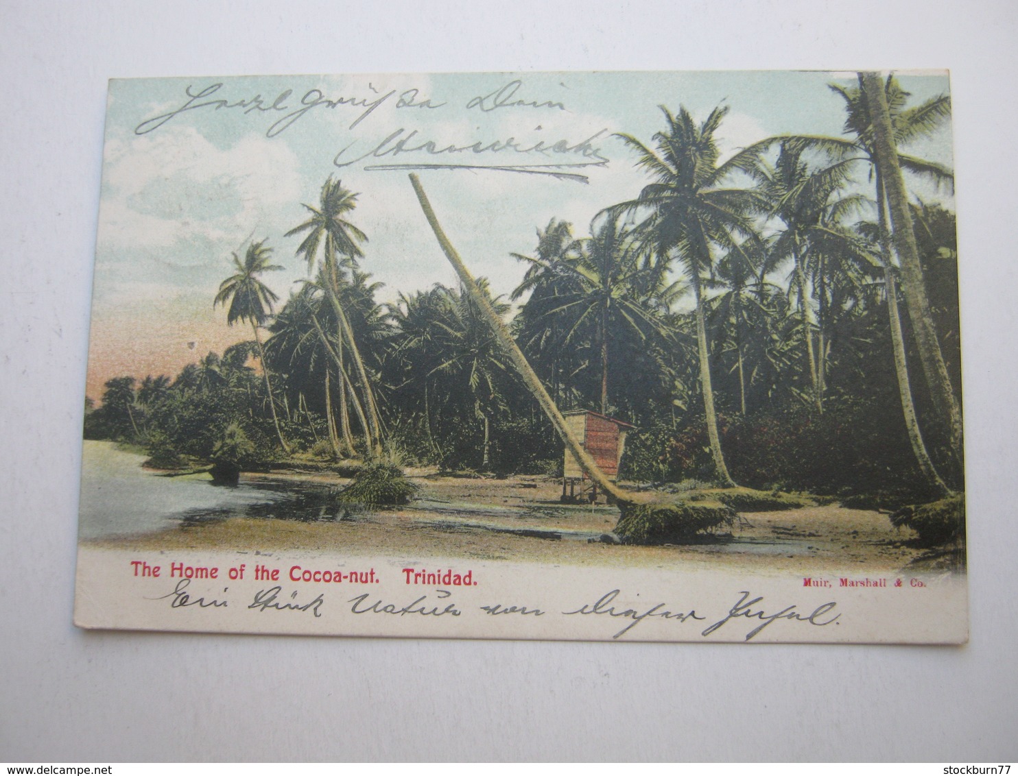 TRINIDAD , Postcard With Stamp Send To Germany 1909 - Trinidad