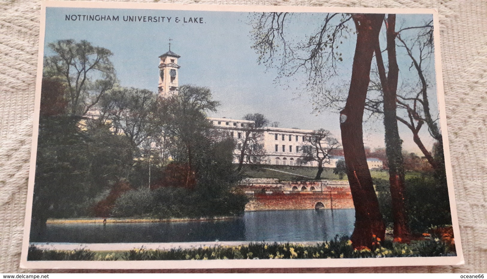 Angleterre Nottingham University & Lake - Nottingham