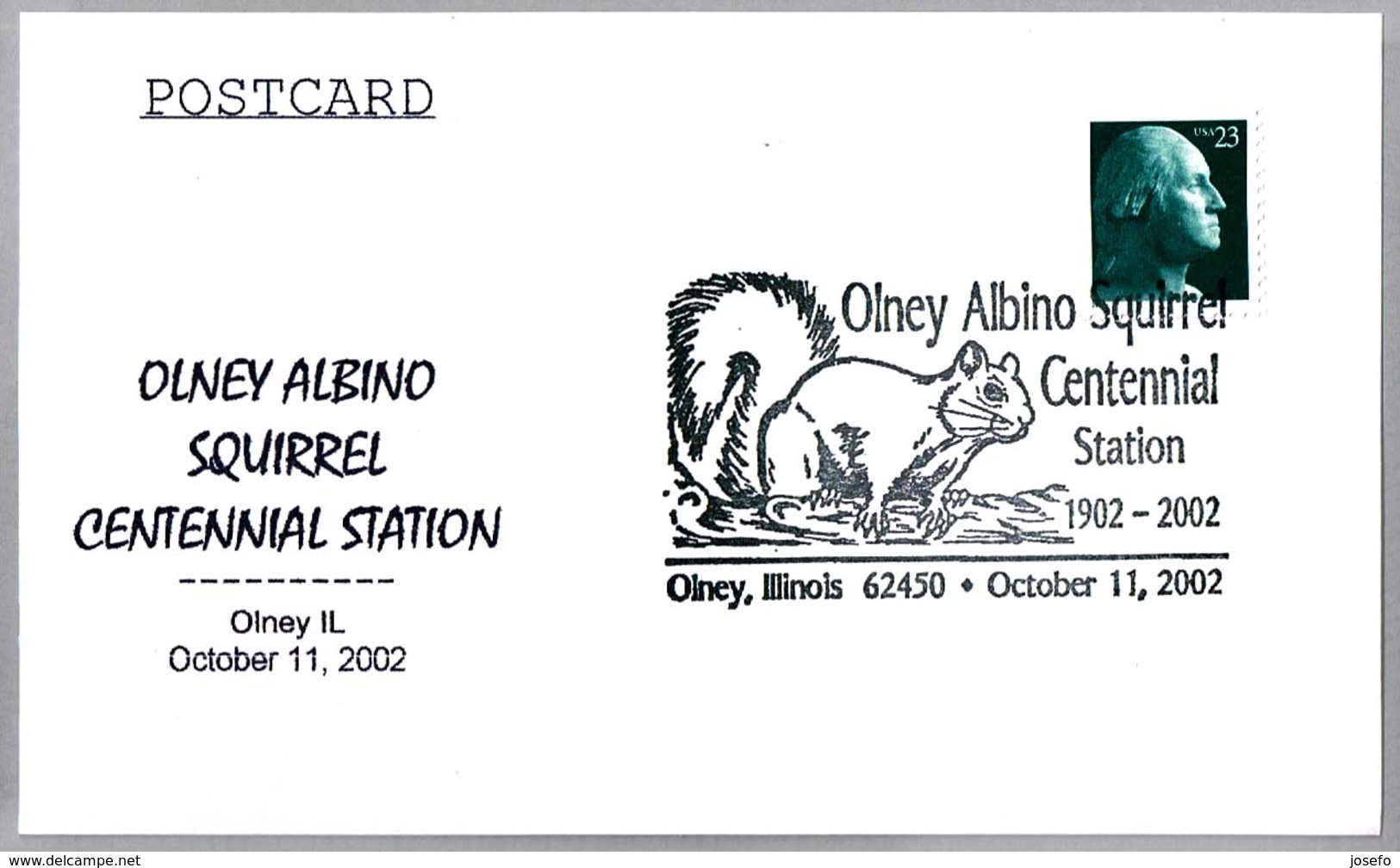 OLNEY ALBINO SQUIRREL - ARDILLA. Olney IL 2002 - Otros & Sin Clasificación