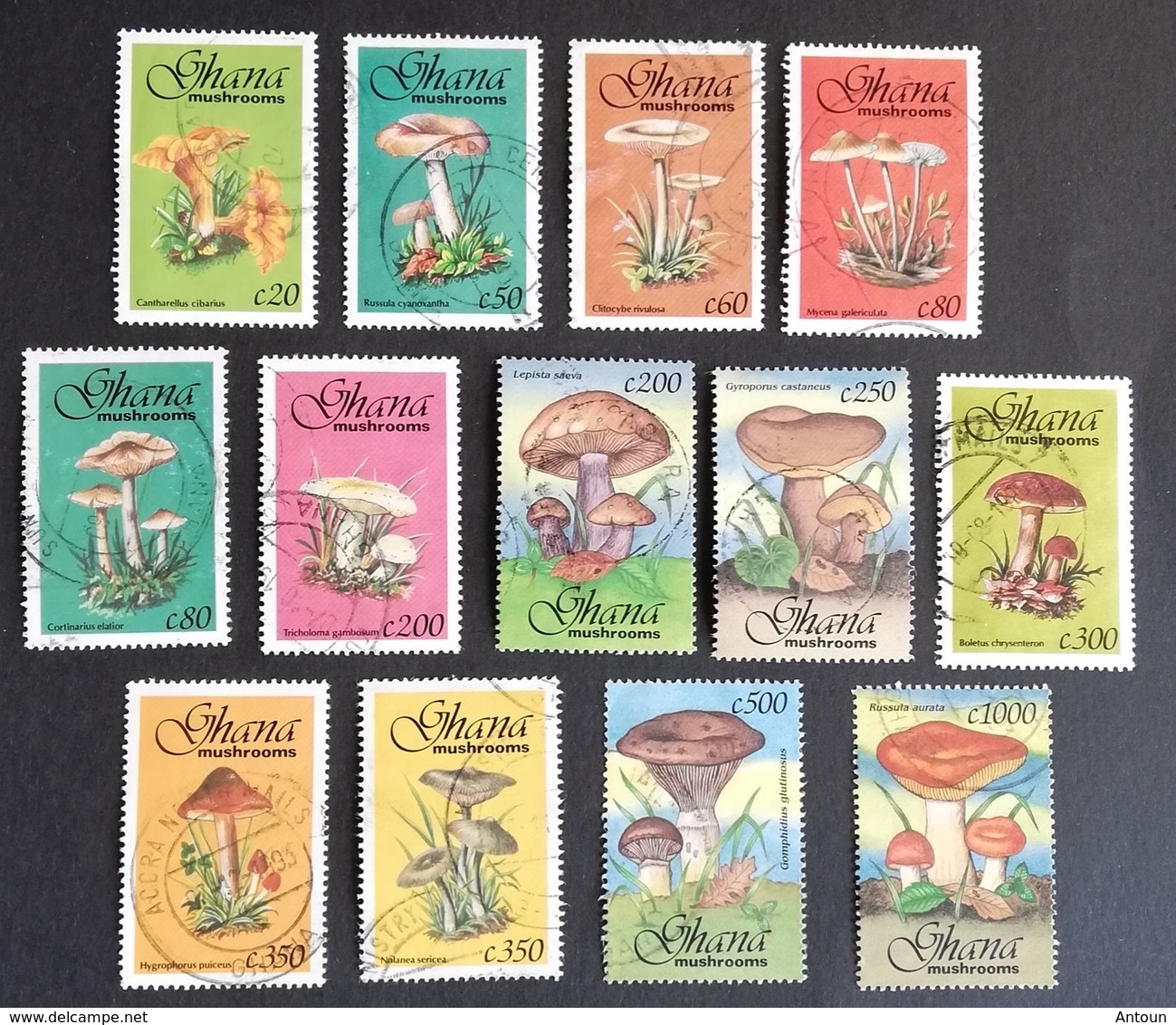 Ghana  1993  Mushrooms LOT USED - Ghana (1957-...)