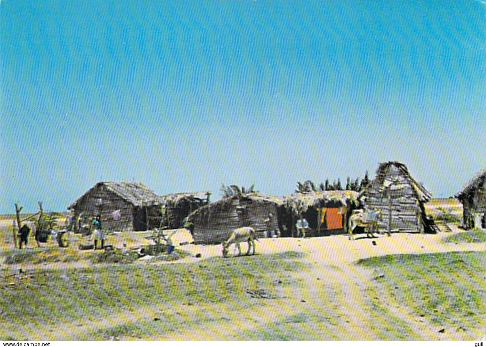 Amérique VENEZUELA PARAGUAIPOA Indian  Dwellings (Habitations Indiennes)* PRIX FIXE - Venezuela