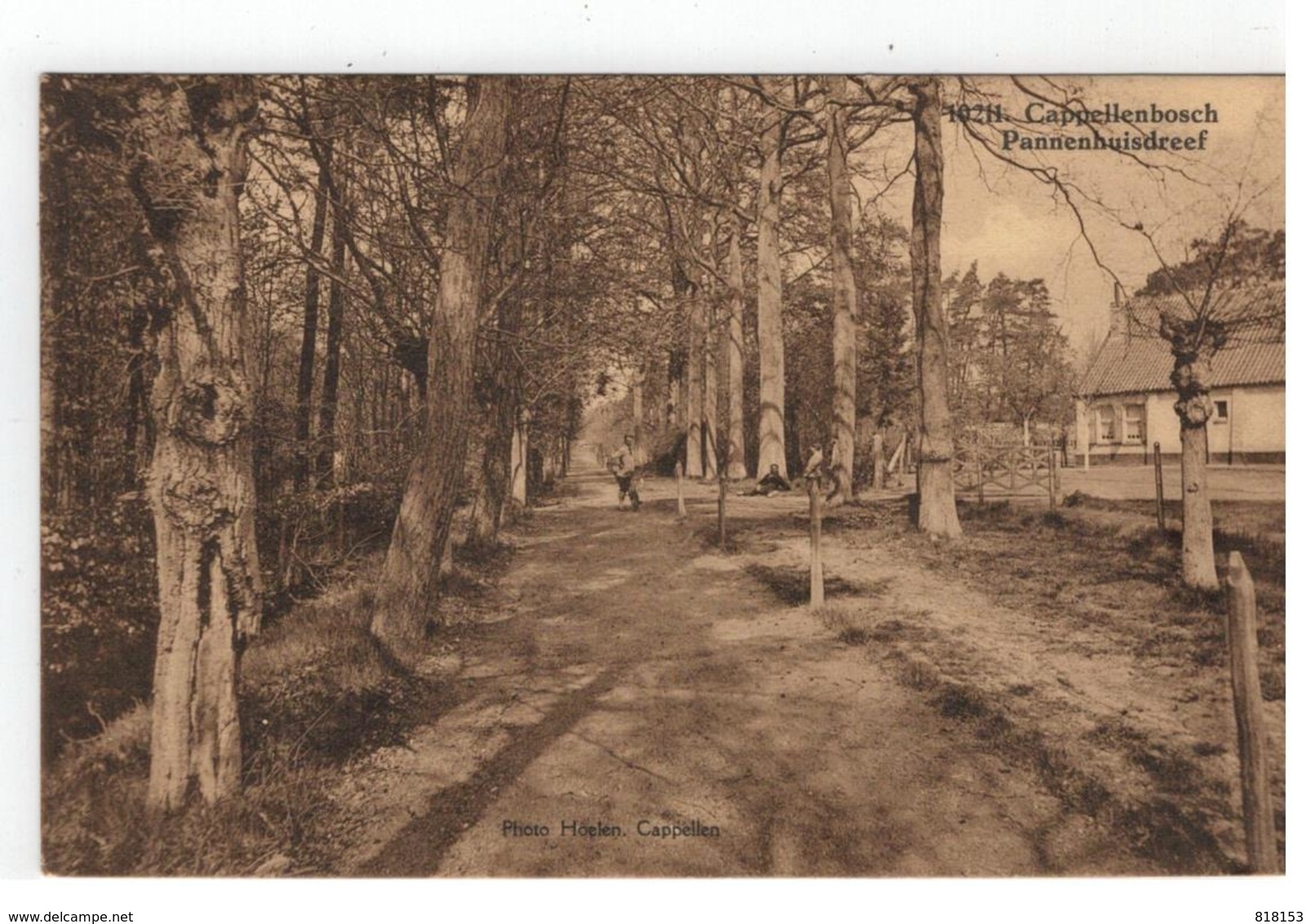 Kapellen 10211. Cappellenbosch Pannenhuisdreef  Photo Hoelen. Cappellen 1929 - Kapellen