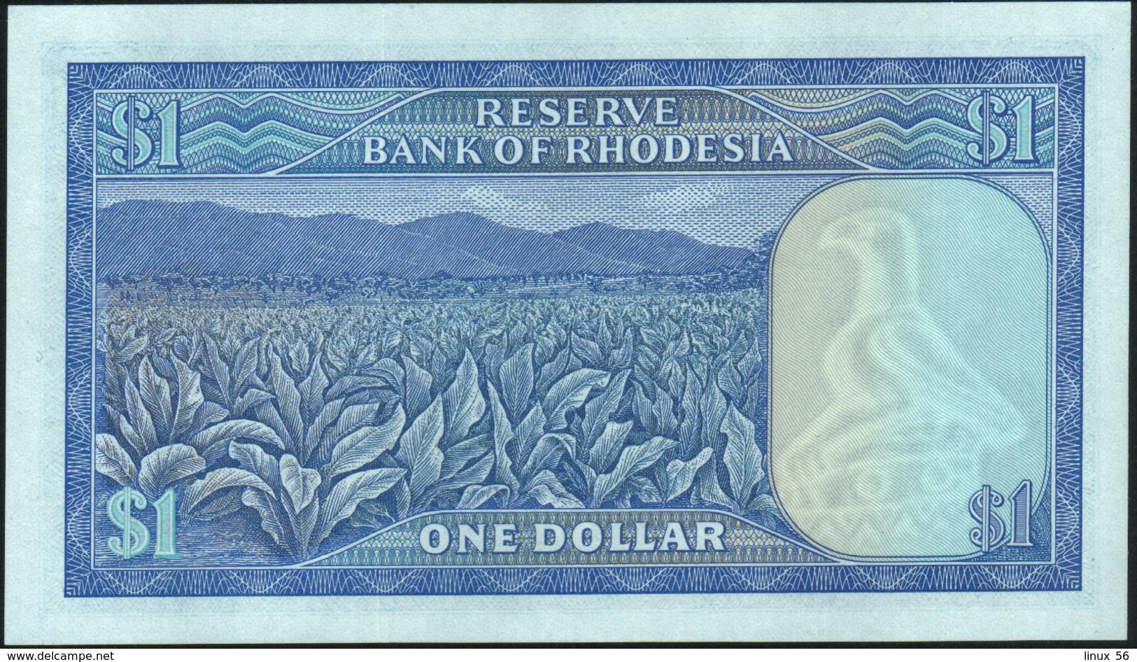 RHODESIA - 1 Dollar 02.08.1979 UNC P.38 - Rhodesia