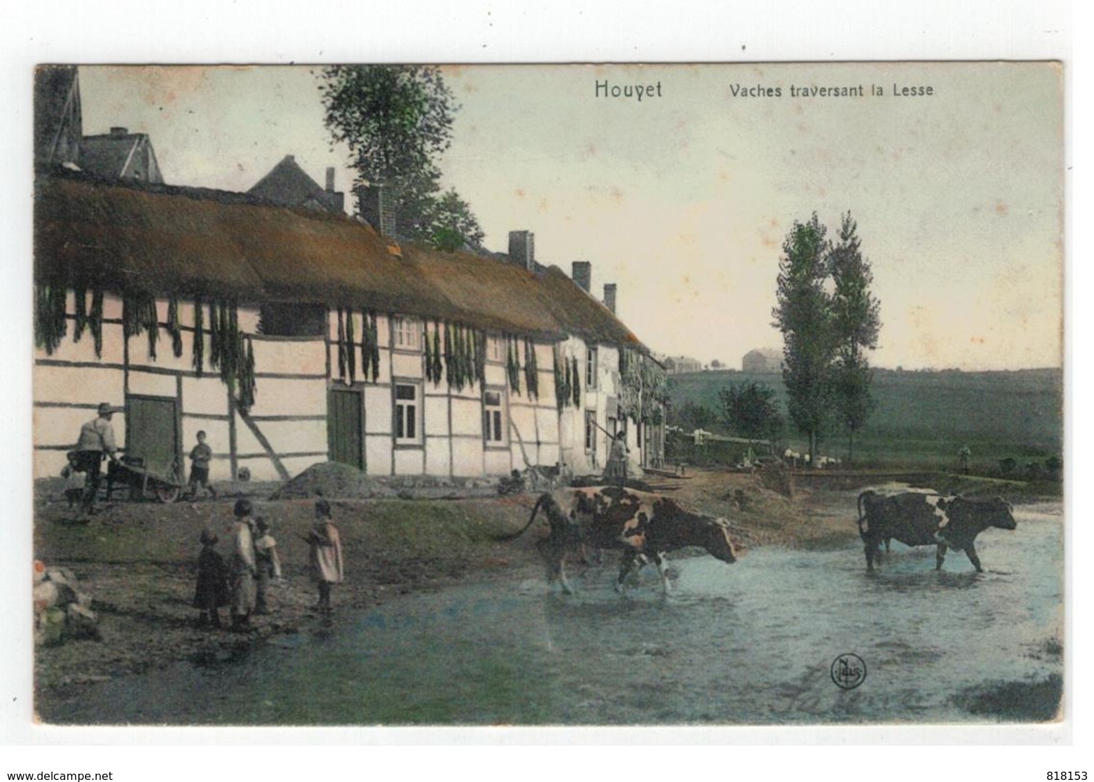 Houyet  Vaches Traversant La Lesse 1906 - Houyet