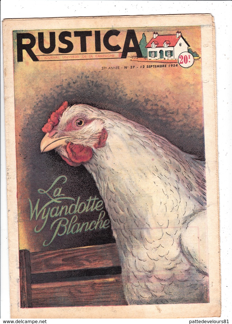 RUSTICA 1954 La Wyandotte Blanche Poule Hen Galinacée Galleon Aviculture Poulytry ( 2 Scans) - Garden