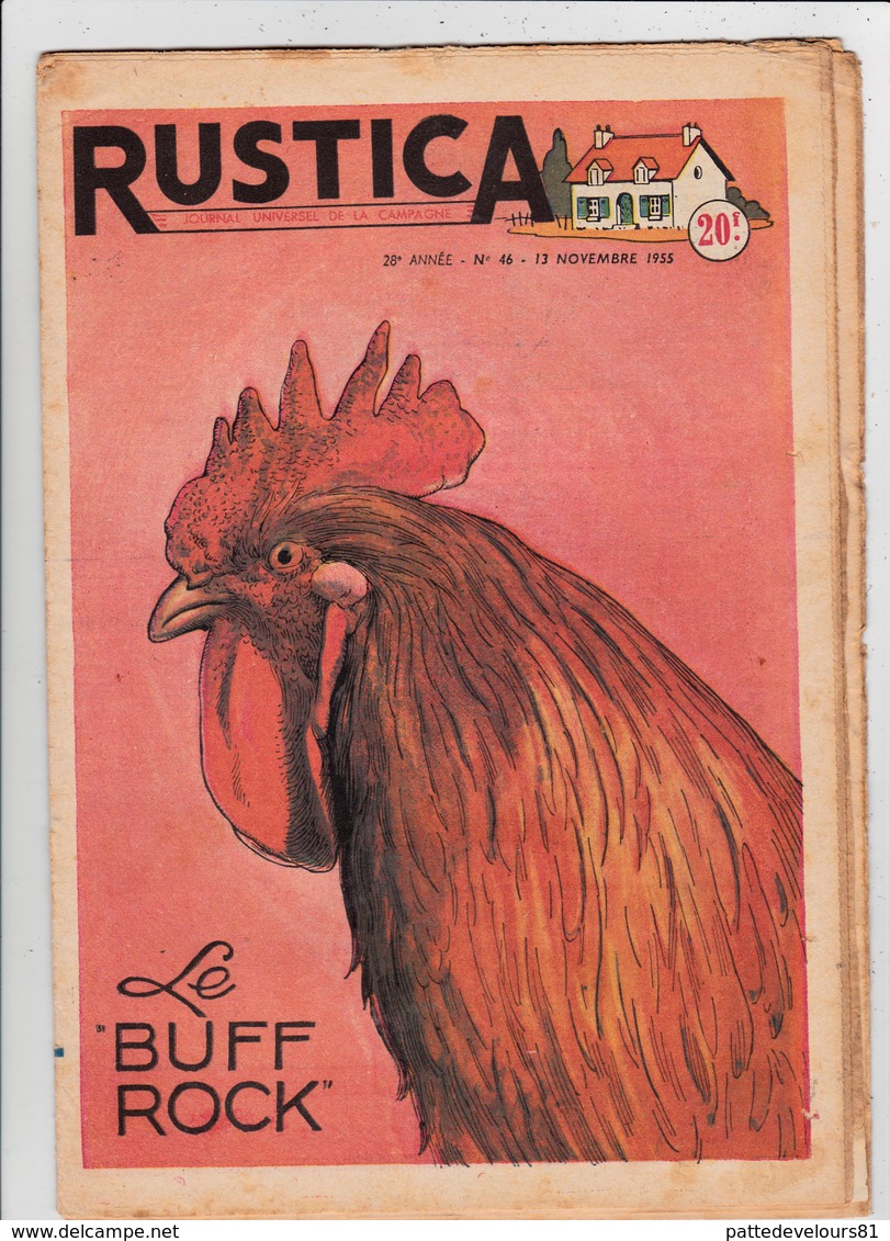 RUSTICA 1955 Le Buff Rock Coq Poule Hen Galinacée Galleon Aviculture Poulytry ( 3 Scans) - Jardinería