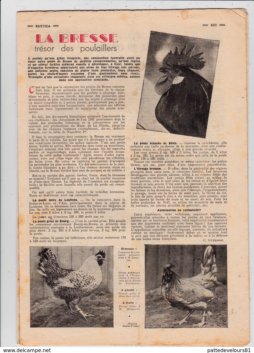 RUSTICA 1950 La Bresse Noire Poule Hen Galinacée Galleon Aviculture Poulytry ( 2 Scans) - Garden